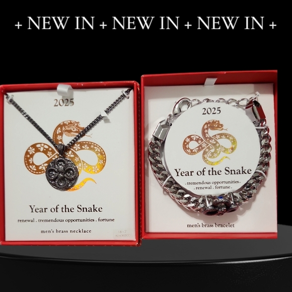 NIB/NWOT Year of the Snake Men's Jewelry Bundle: Necklace & Bracelet Set - Picture 5 of 5